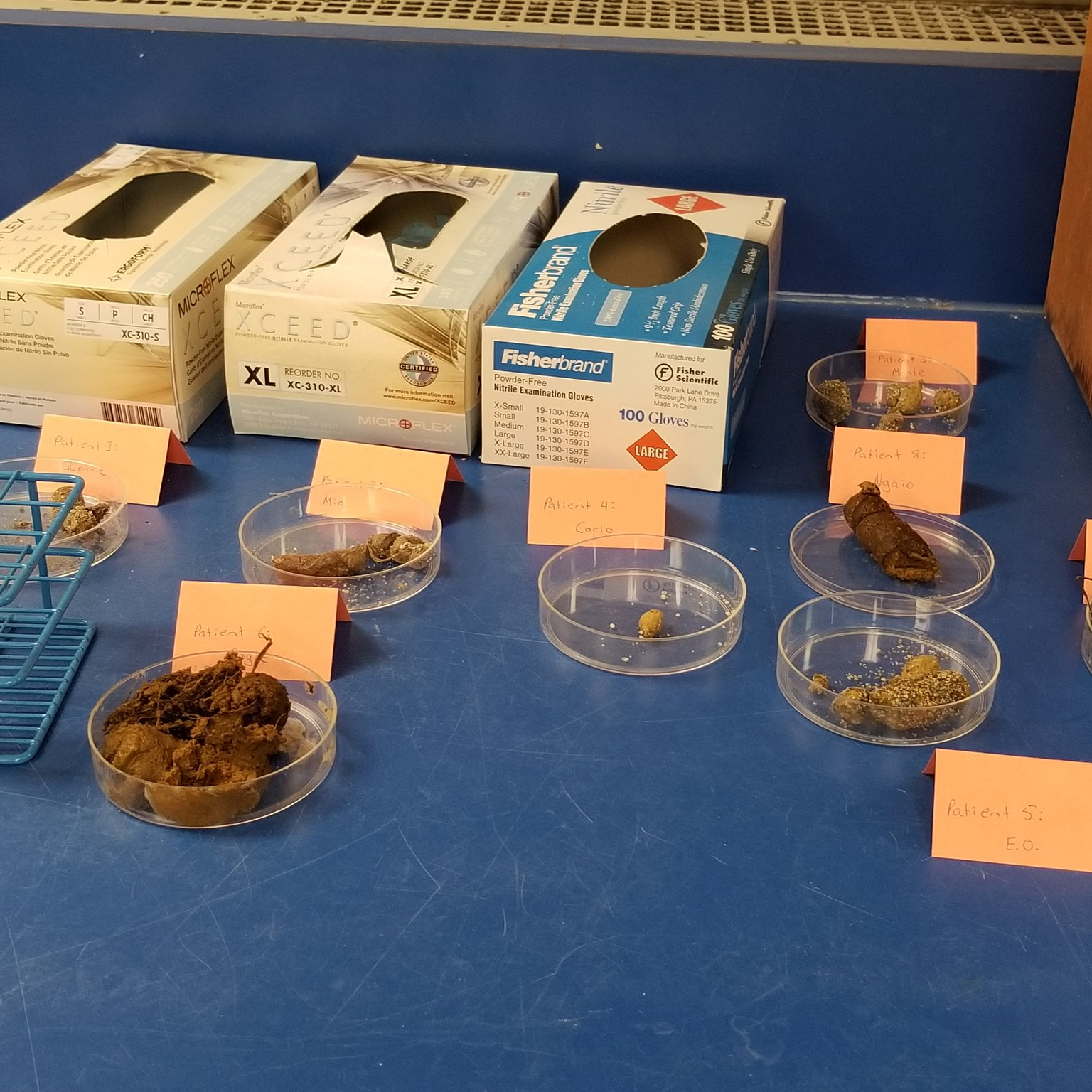 pet fecal samples for parasite identification