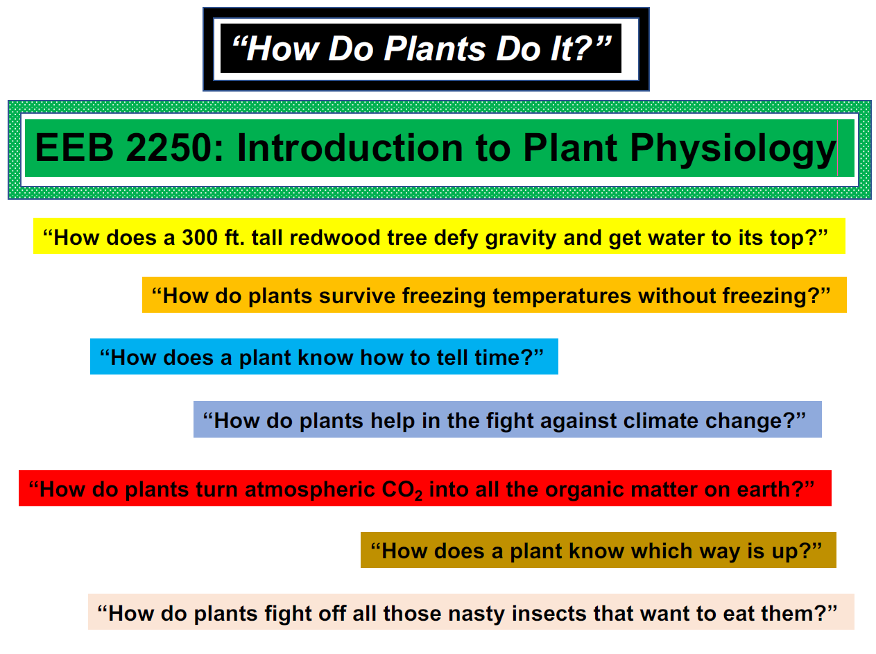 intro to plant physiology