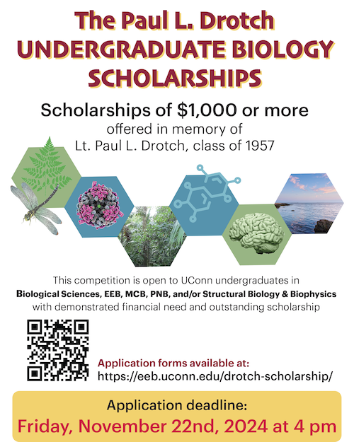 Paul L. Drotch Undergraduate Biology Scholarship. Download application form from this page, fill it out, and send to biologyadvising@uconn.edu.