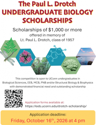 Poster advertising Drotch Scholarship (form at https://eeb.uconn.edu/drotch-scholarship/)